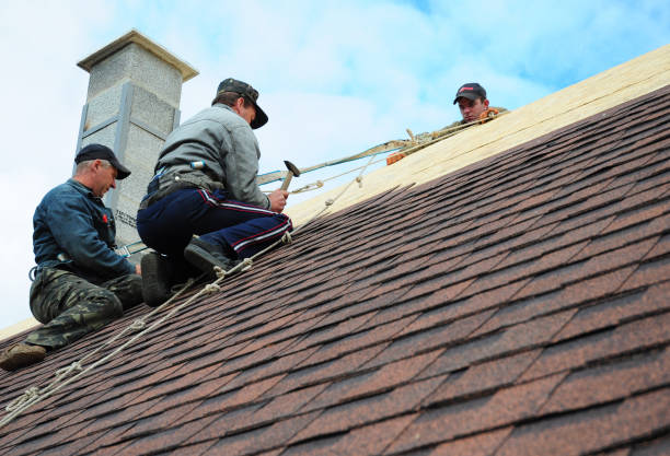 Best Shingle Roofing Installation  in Brewster, WA